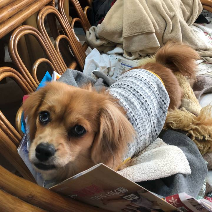 A1fe60a2 1c00 44ba b1f6 1dacd2402c84 1512257651950