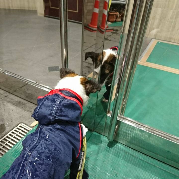 A1fe626b f4ca 4af4 bc7f a7a31469cec3 1508452425353