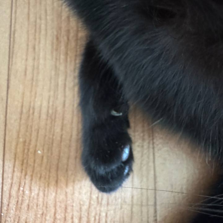 A1fe73f8 5b7b 4829 a9cd e7b40fb23d83 1759041086155