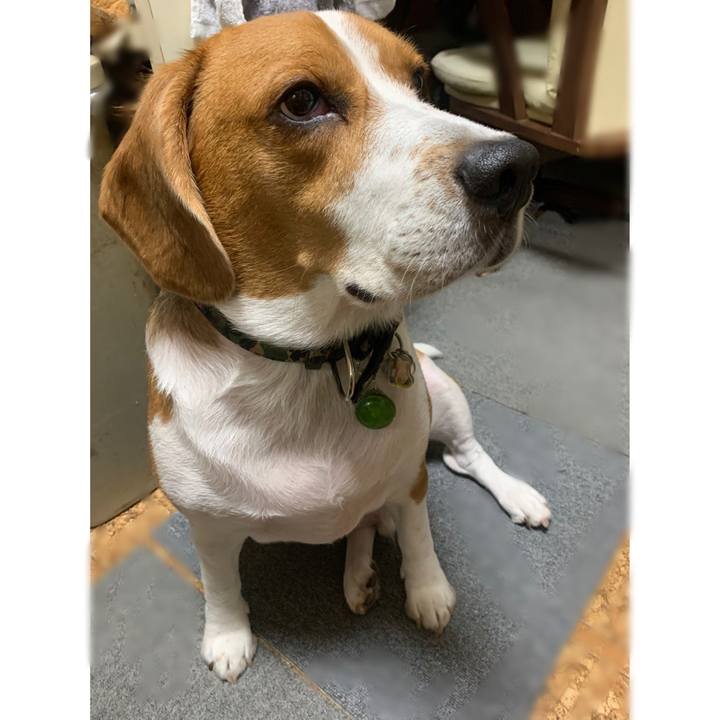 A1fe85ef fadf 4e0d bcd3 fc02fc52aed2 1602393543530