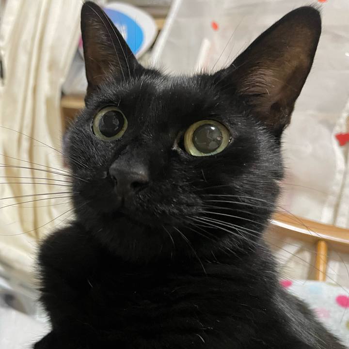 A1fec721 0c90 4ffe 8ad9 a20212fa6c1e 1755400979310