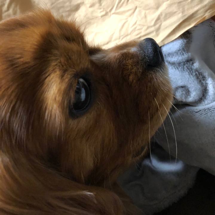 A1ff1c98 c662 40fc 8c5c 6172533f3df7 1586875654685