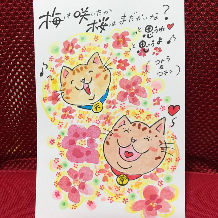 A1ff4e42 127f 4ae3 b39a 5c518f4af90f 1551102212747