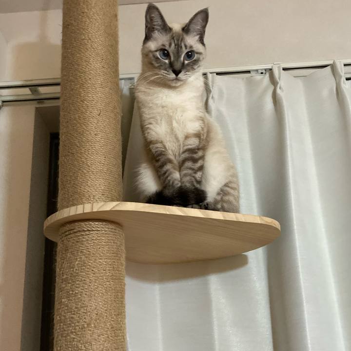 A1ffb29d ac5f 405c bc71 81edb4eb76b2 1601121787702