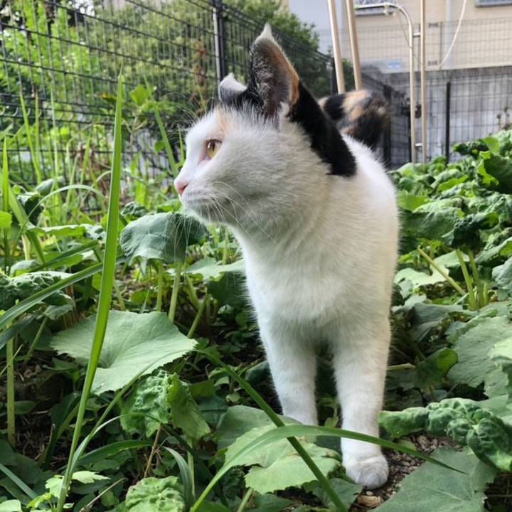 A2004697 4899 40d7 9294 e4cd5d264a4e 1678242919691