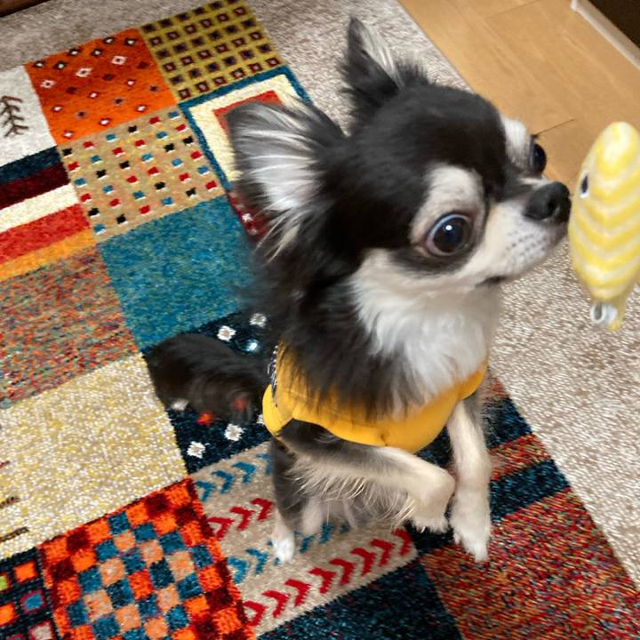 A2004aff dcd5 4b57 bac8 95e3f080492c 1680447053161