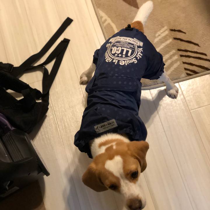 A2004e75 d0a1 4fcb be0f 2c964e818413 1556709391868