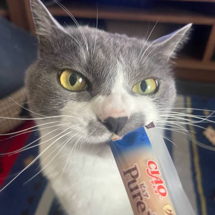 A2007d74 cb02 4141 86dc d44072b612b7 1683527203715