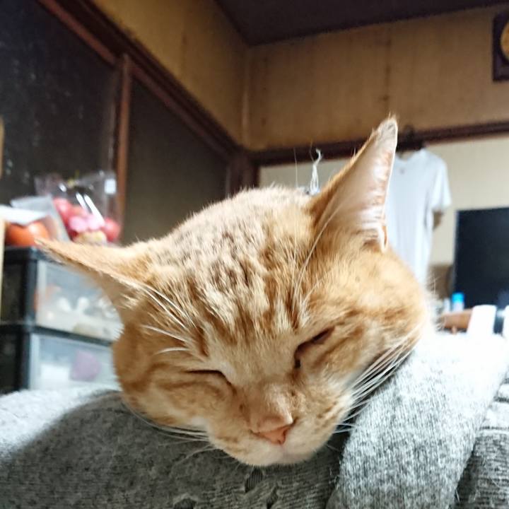 A20083c6 c43a 414b 9961 48e10247c46c 1576274430993