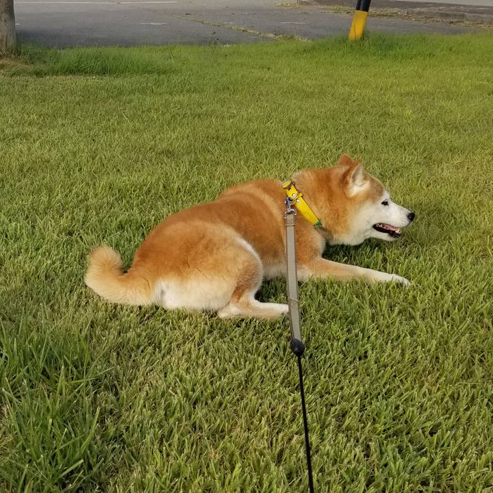 A200974c bafa 4f96 8b30 90a029d8cf8d 1692692983070