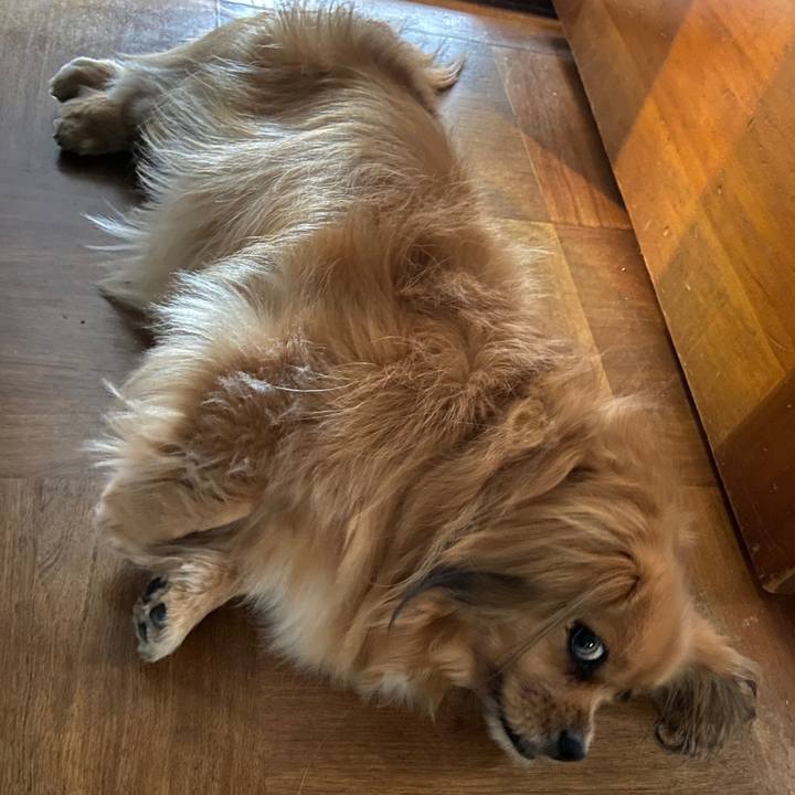 A2009a94 5758 48d9 aeb9 80b20b9d6f42 1624311650407