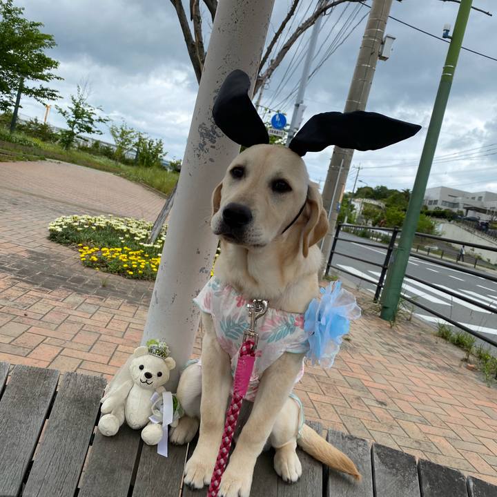 A200b244 2d7f 4e38 be26 ede3f77b4f93 1619843319541