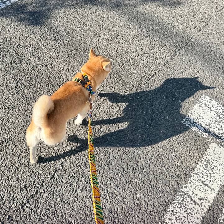 A200b46c 79f3 4234 baa2 ea66070efa1a 1765242687554