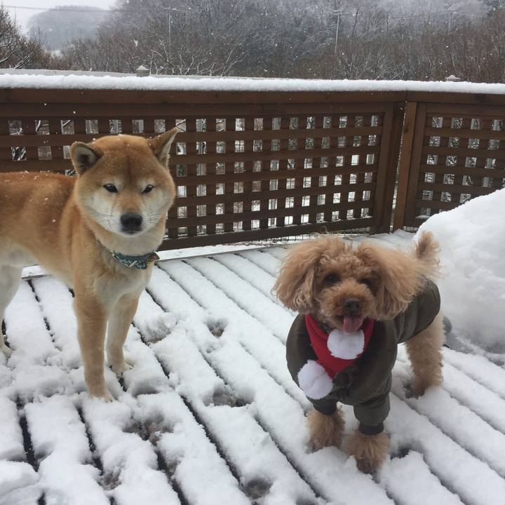 A200c018 9a4d 42a0 b455 bc58f78e6d3f 1517529936279