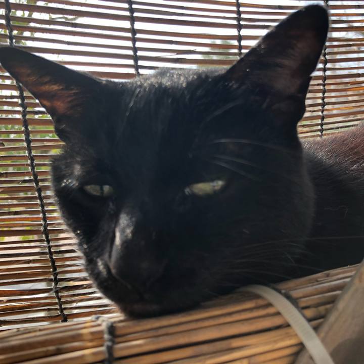 A200deb7 804f 4dfb b0c9 03a63c2baa68 1610595917429