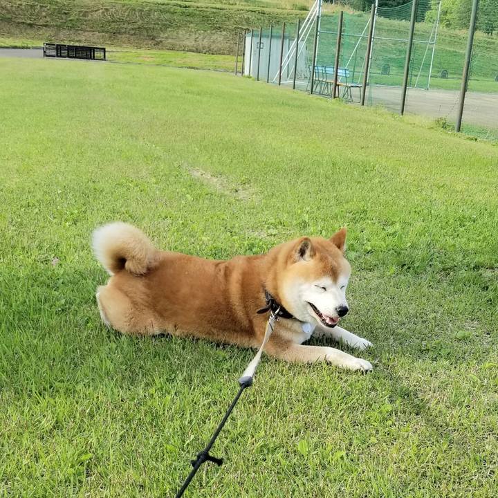 A200ec51 ebf2 4ab9 b209 4ad4b51b82ce 1622189099675