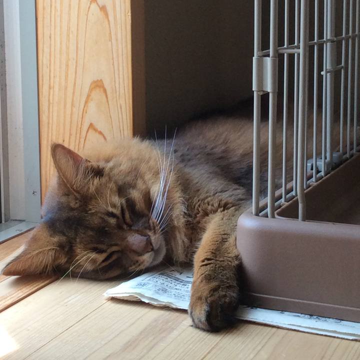 A200f207 0955 42c4 b267 5ed359c54461 1628243359758