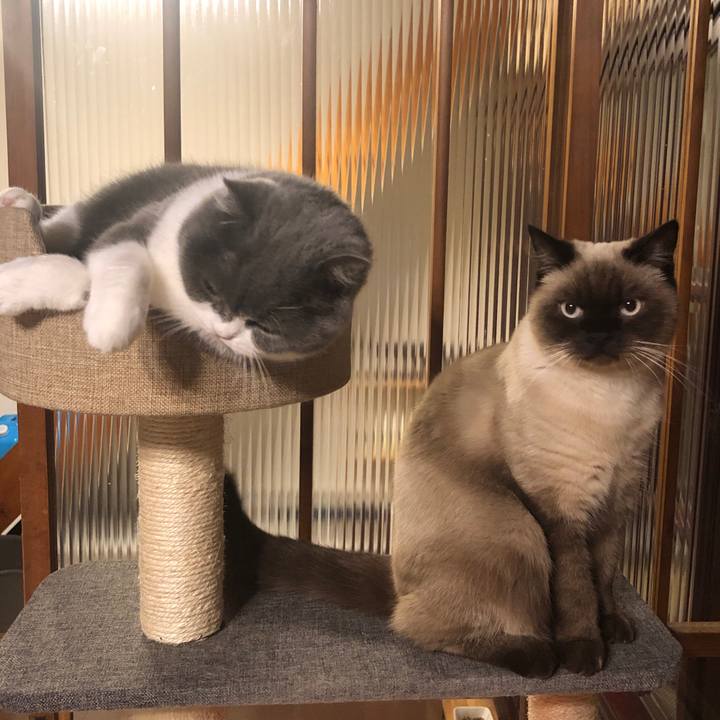 A2011c7e 6b2e 4eee b818 9faa5e6db707 1605346698728