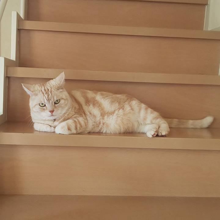 A2011d0e a243 4896 9412 afae6235a57b 1555719415839