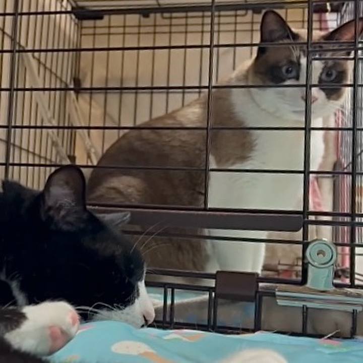 A2021292 d1b9 44e6 8695 5b69d98d7ad9 1754308768906