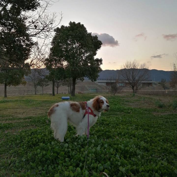 A202261f c970 4379 a84d 17a00b28b856 1611880912572