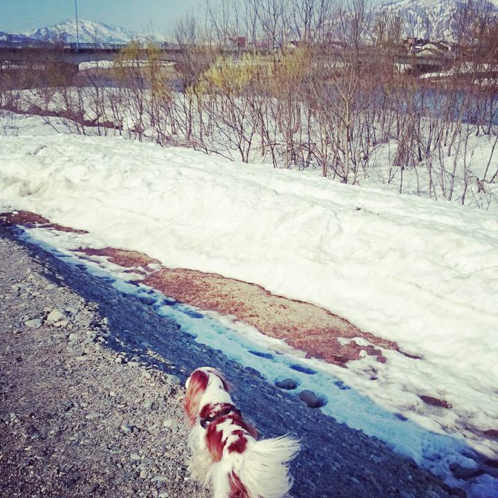 A2022f26 8891 4fe6 8aba a856a1530490 1522135646040