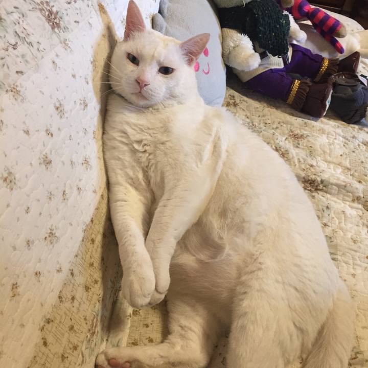 A2023100 31b7 497a bff5 20c51be7b125 1527206038388