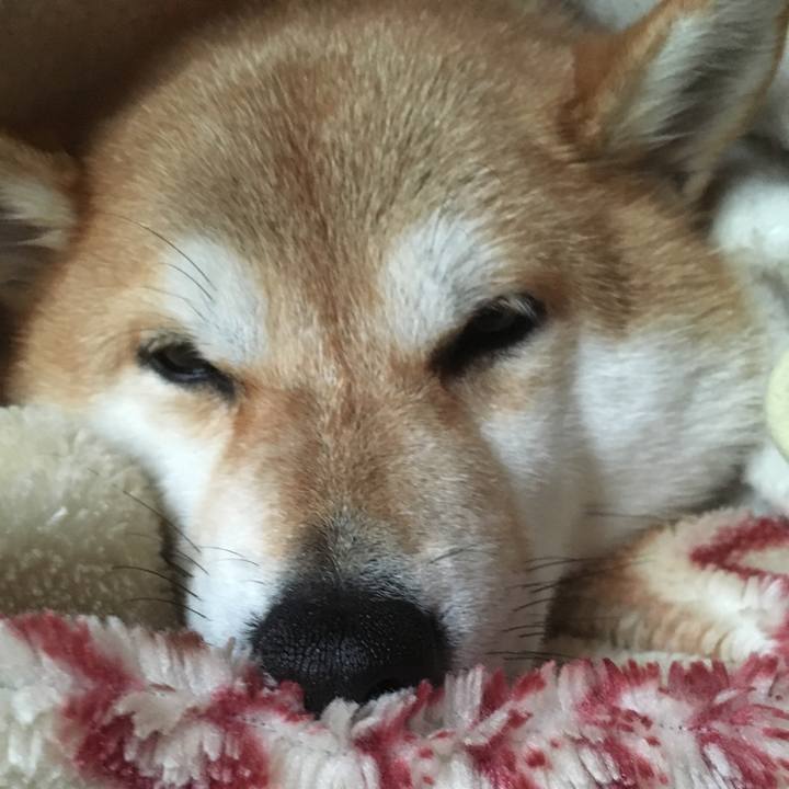 A20231f1 dedb 4c9c 8af8 28ee1485fb55 1542852506709