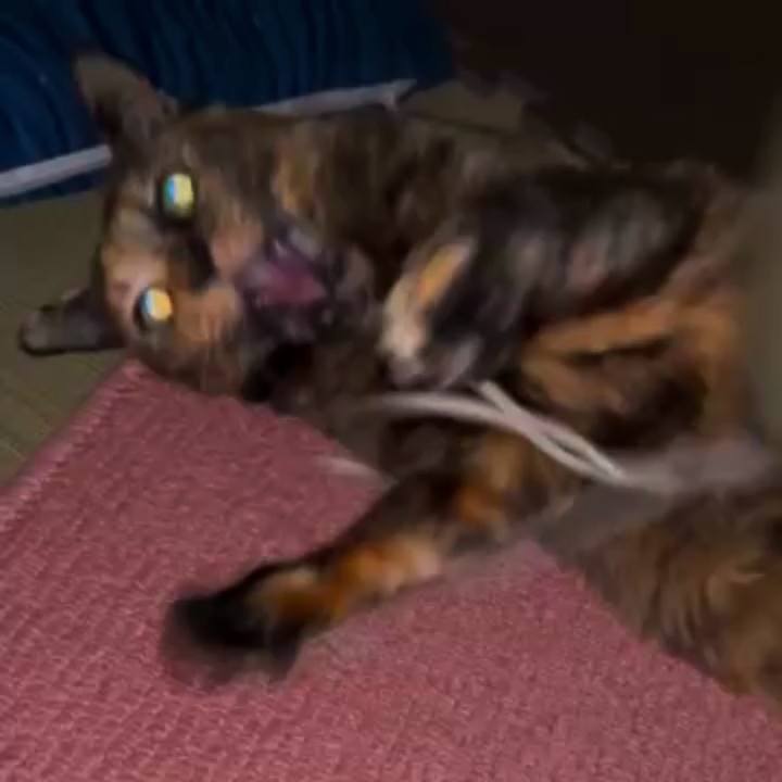 A2023890 30eb 42e8 97d6 6cd620120dde 1775765600602