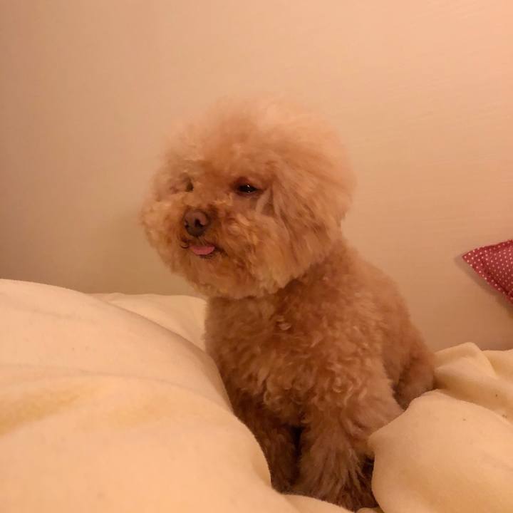 A202756c 1427 4400 838f 7586e27c7c89 1526215751364