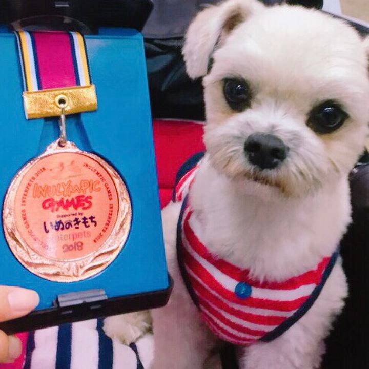 A203075b 3bb7 47e8 81f0 b3bf7269212e 1647608378607