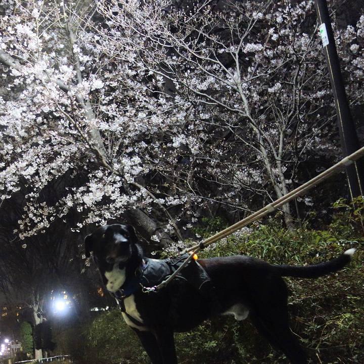 A203081f efa8 47fa 940e 40eb543ccc19 1648378827262