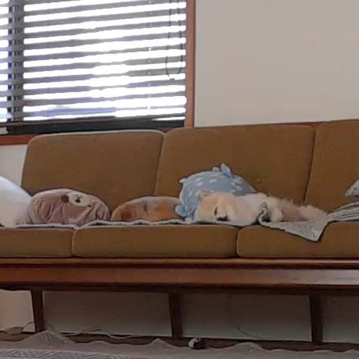 A2031286 b1a2 414e bd3c 70aa4ab05a0a 1771905358014