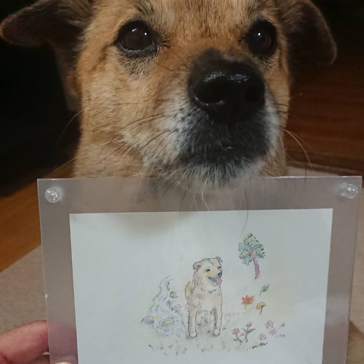 A2031e64 6b66 4854 8f52 9eda45c9e32c 1633080948803