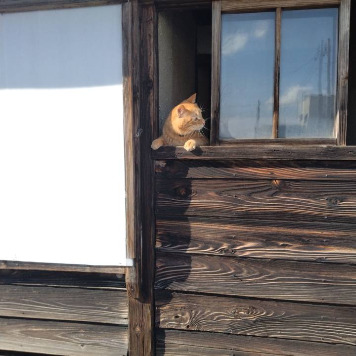 A20324f4 6e19 4f1a 89ae ffc55c04855a 1677910570146