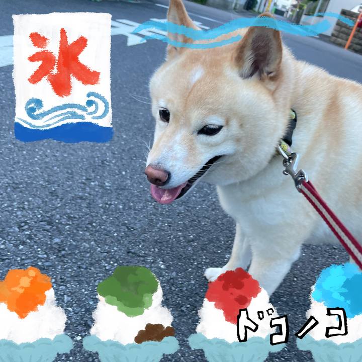 A2033472 f750 4992 9827 25fd9c7f866d 1723241705489