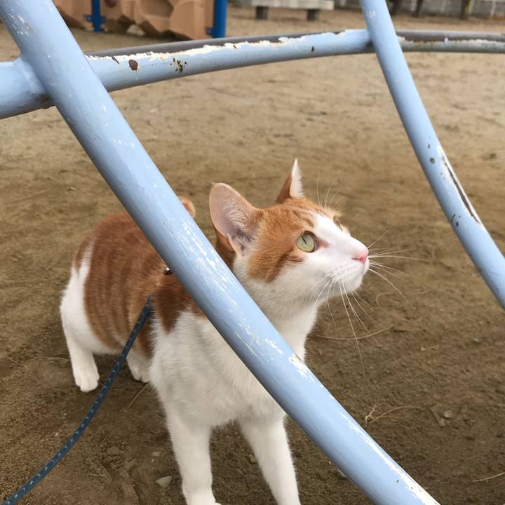 A2036a4f 2482 4045 b64c d802e6b4ad50 1516079000417