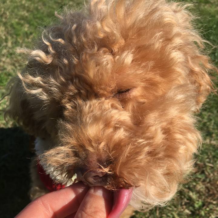 A2038a9a 62e4 4420 aee9 5a2abc526b27 1542161444650