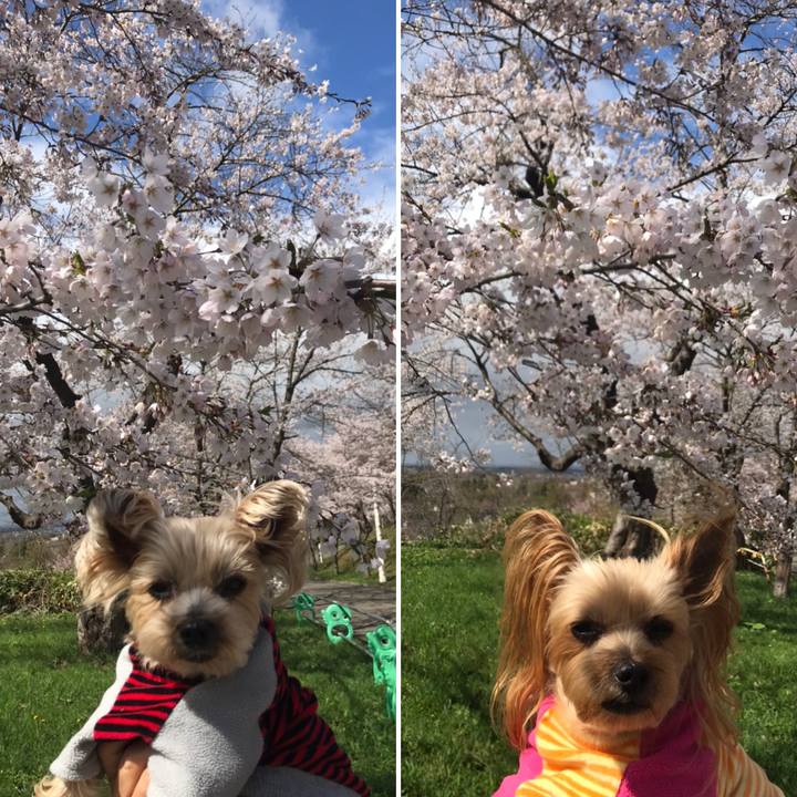 A203cdeb 504b 48cd 99cd 5fa2336591c3 1588755510955