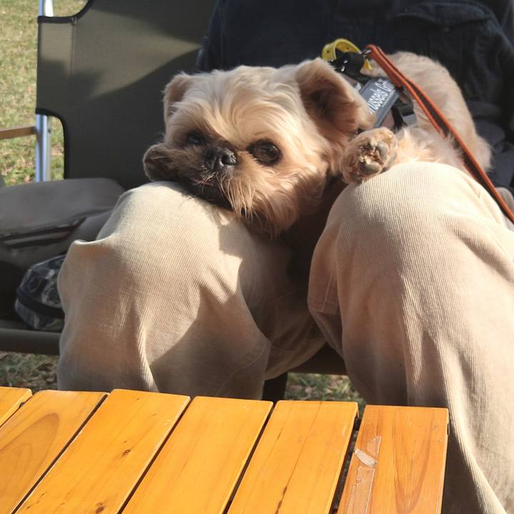 A2044fae fc74 40a4 8993 300db63713bb 1636373729152