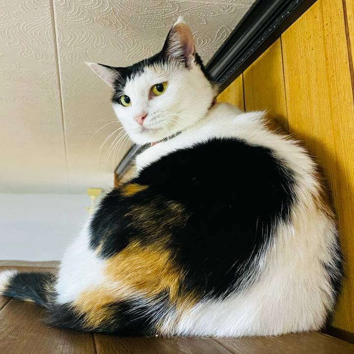 A204930e 840c 4343 98c0 bb6383a655ae 1664629334000