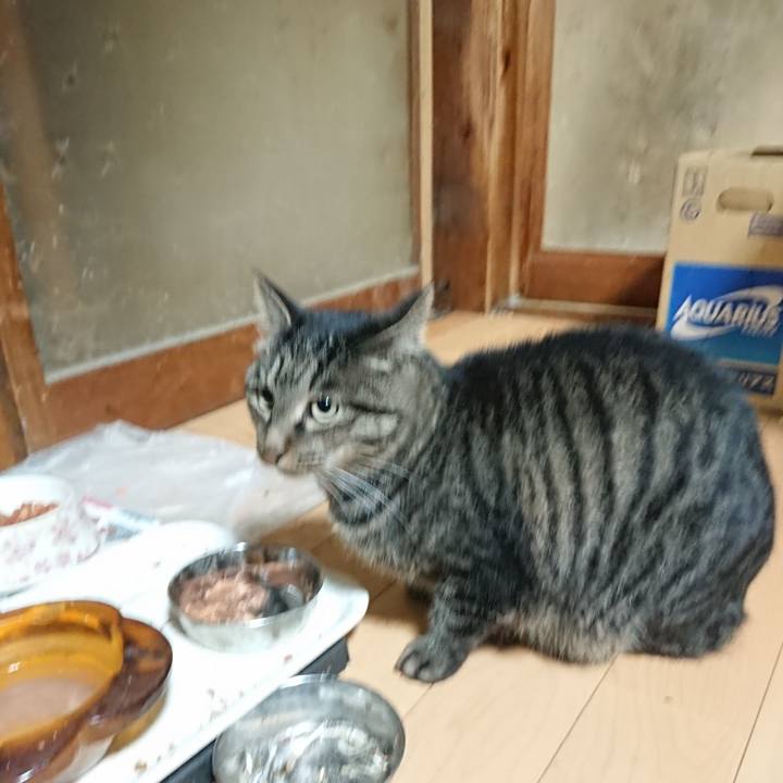 A204959f b2d3 49f4 a465 3ba2519f34f6 1635336093030