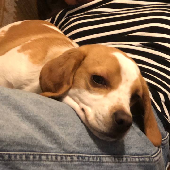 A2049a73 3a63 4173 bede 79b5665a8aca 1554547904367