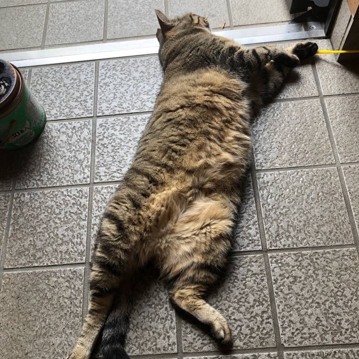 A204e7c5 221e 41a0 90df 16d14fdd1367 1564041594891