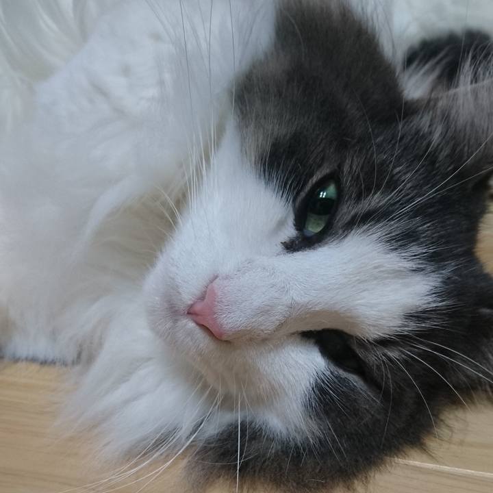 A204fd7d 50be 490c ba58 1b3d2ab0b2fc 1760180692226