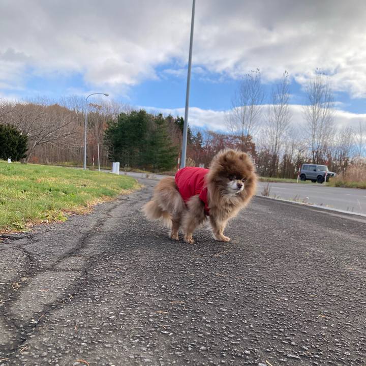 A2051c15 3159 4da6 93dd 519dad957525 1732413150330