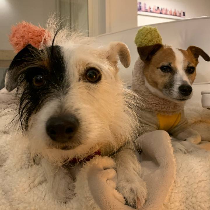 A2052c85 4c55 42ba a564 fb355237f47a 1579262966256