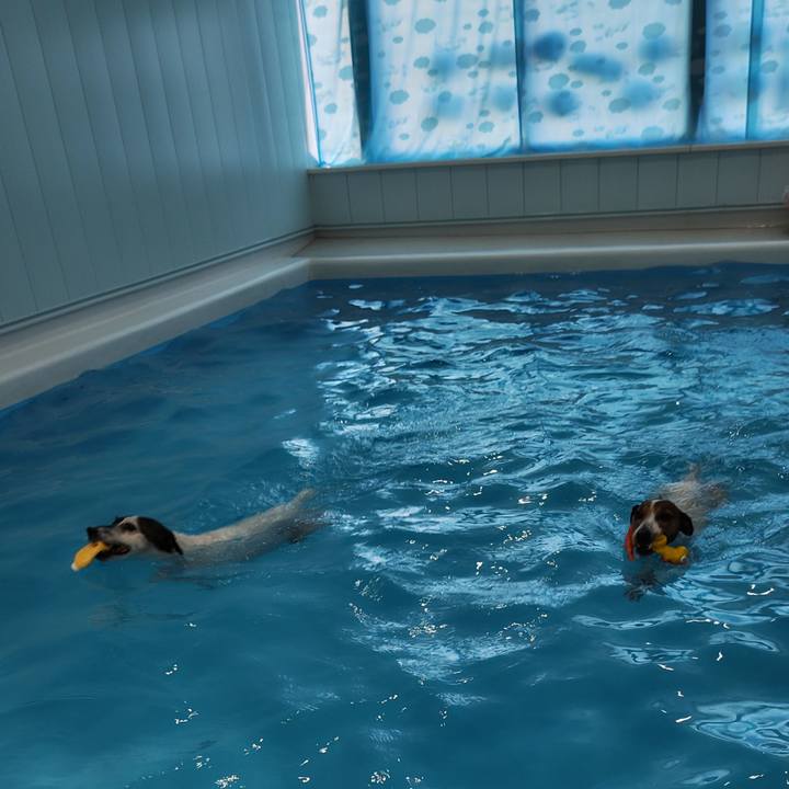 A2055e00 b86b 487e bbd6 2d0bb9370a21 1736756043763