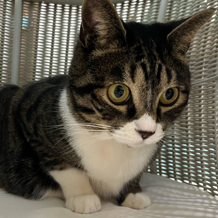 A2057367 4ddc 445a baac 4c2cabb179df 1771197929510