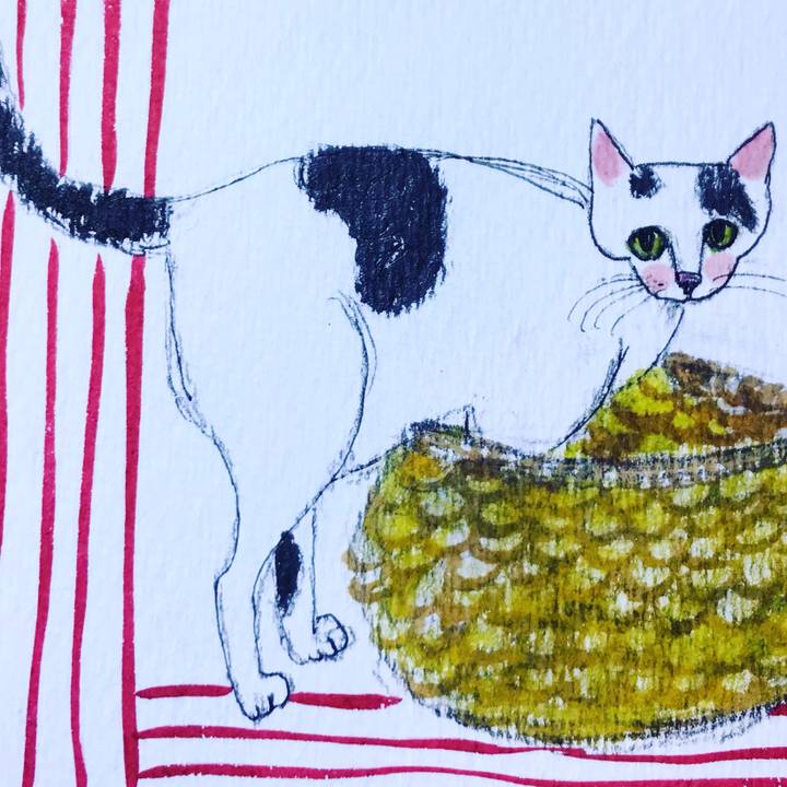 A205b262 3bed 4e23 a8c0 2c3220d331ff 1623329987531